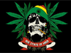 CONCOURS officiel du pirate de juillet 