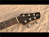 Franck Claise Luthier