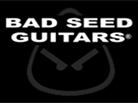 La Bad Seed Guitar testée en vidéo sur Sweepyto