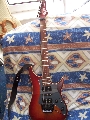 Vigier Excalibur custom